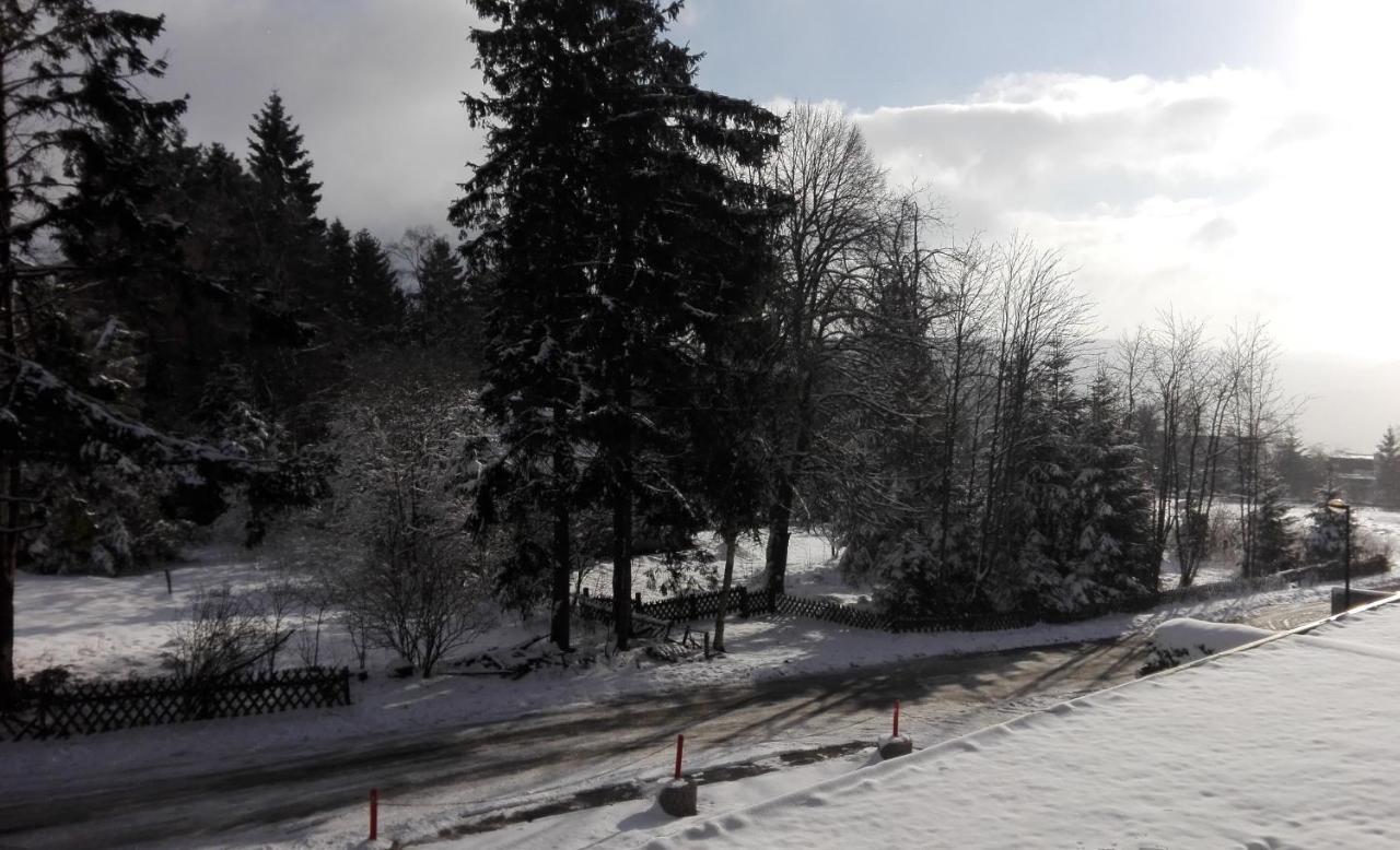 Fichtenweg 54 Winterberg Buitenkant foto